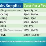 Babygear Cost Plan